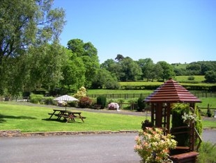 Across the garden. View from the house