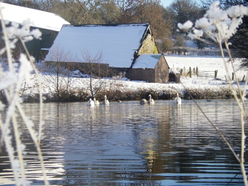 Lake in the snow. The lake on the farm