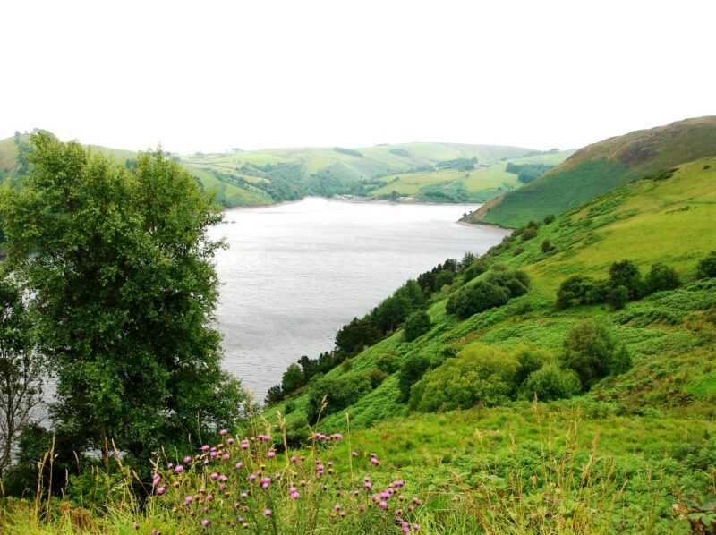 Lakes & reservoirs. Elan Valley and Lake Vyrnwy, by Fernand Lambert