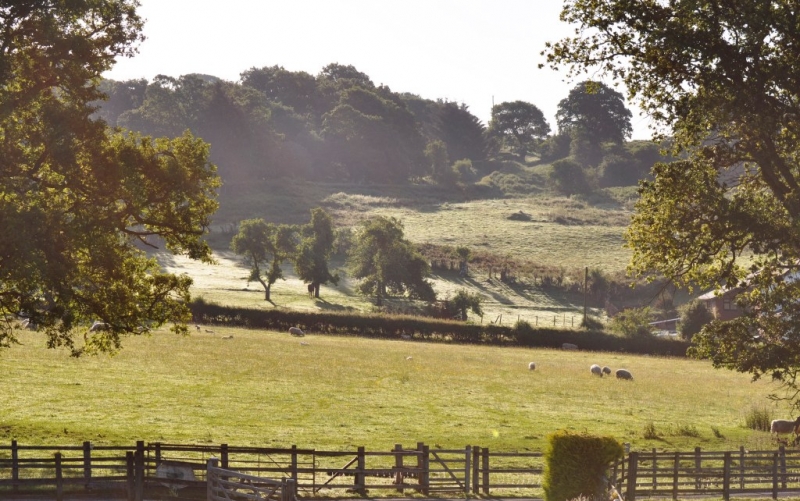 Misty morning. View from the house, by Roy Spratt