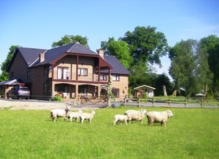 Front of house. Sheep in the field