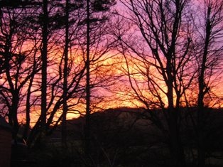 Sunset. Through the trees