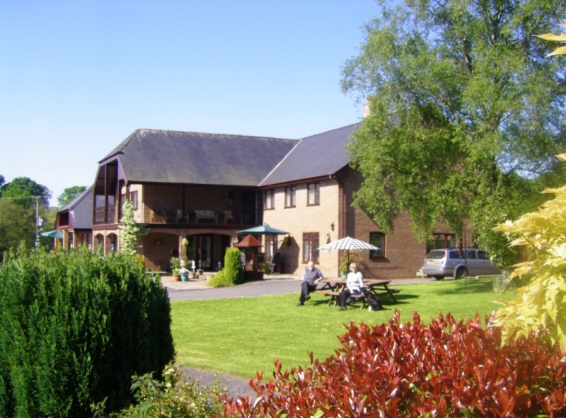 The garden. View of the garden