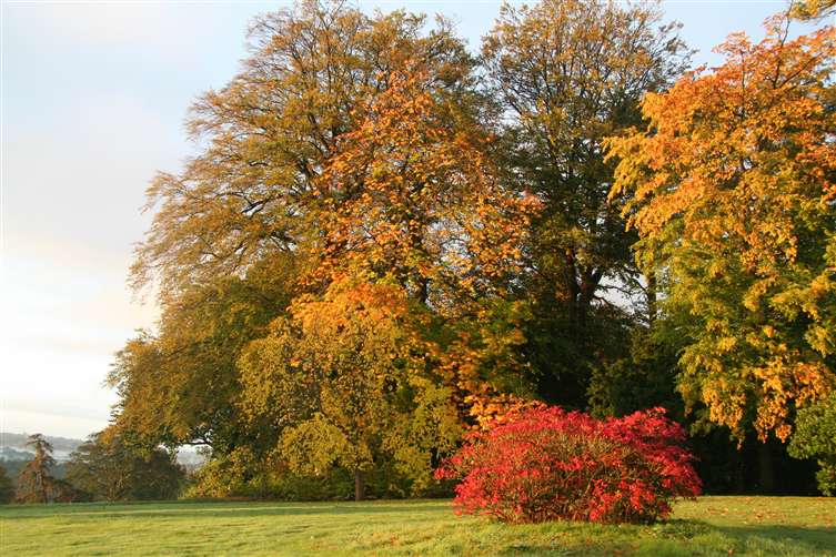 Hergest Croft Gardens